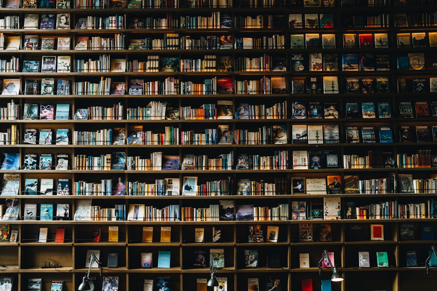 A Literary Journey Through Classical Masterpieces